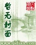 使命召唤之大炮兵主义